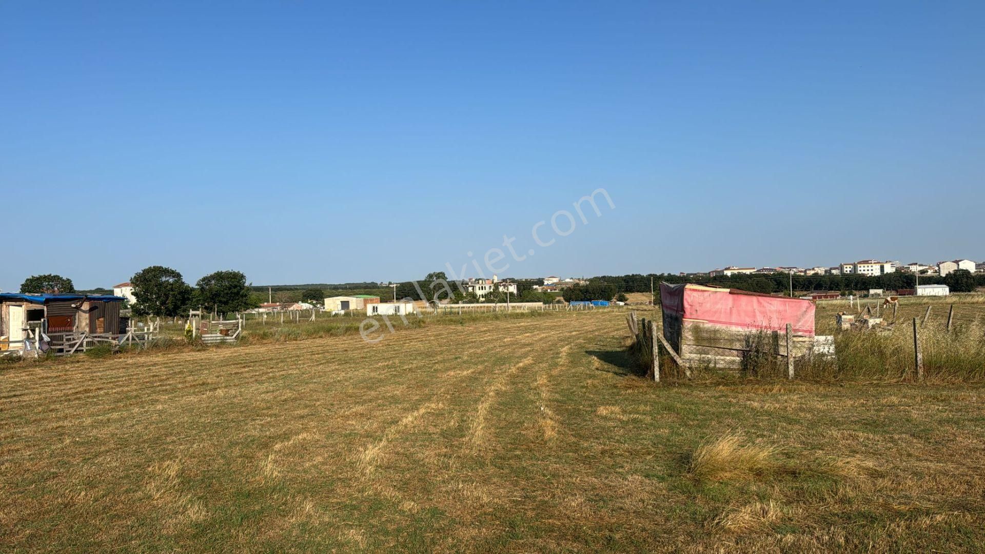 Tekirdağ Kapaklı Da Satılık 247m2 İmarlı İfrazlı Kupon Arsa