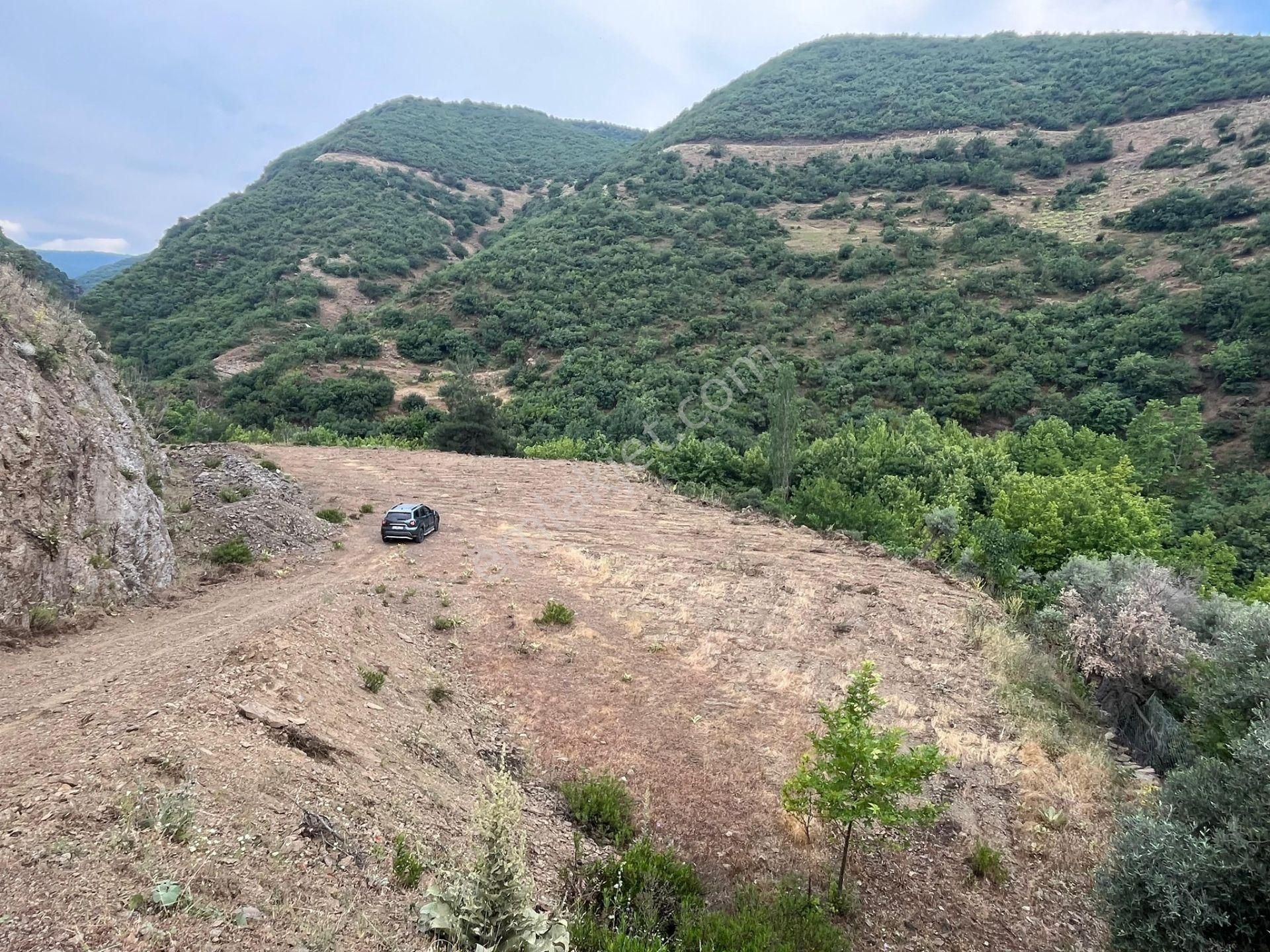 Turgutlu Satılık Çatalköprü Mah 2.635m2 Bağ & Bahçe Elektrik Su Yolu Mevcut Tek Tapu