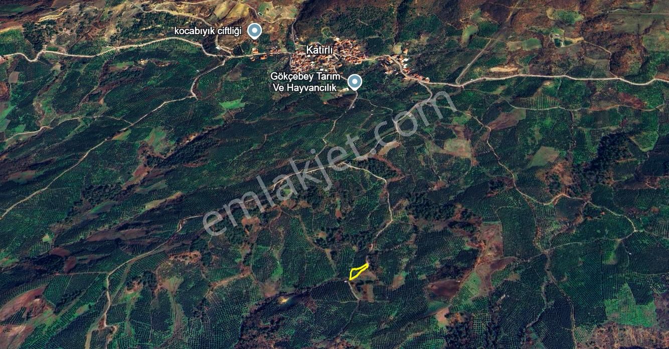 C21 Cius; Katırlı 1270 M² Yola 90m Cephe Satılık Zeytinlik - Görsel 28