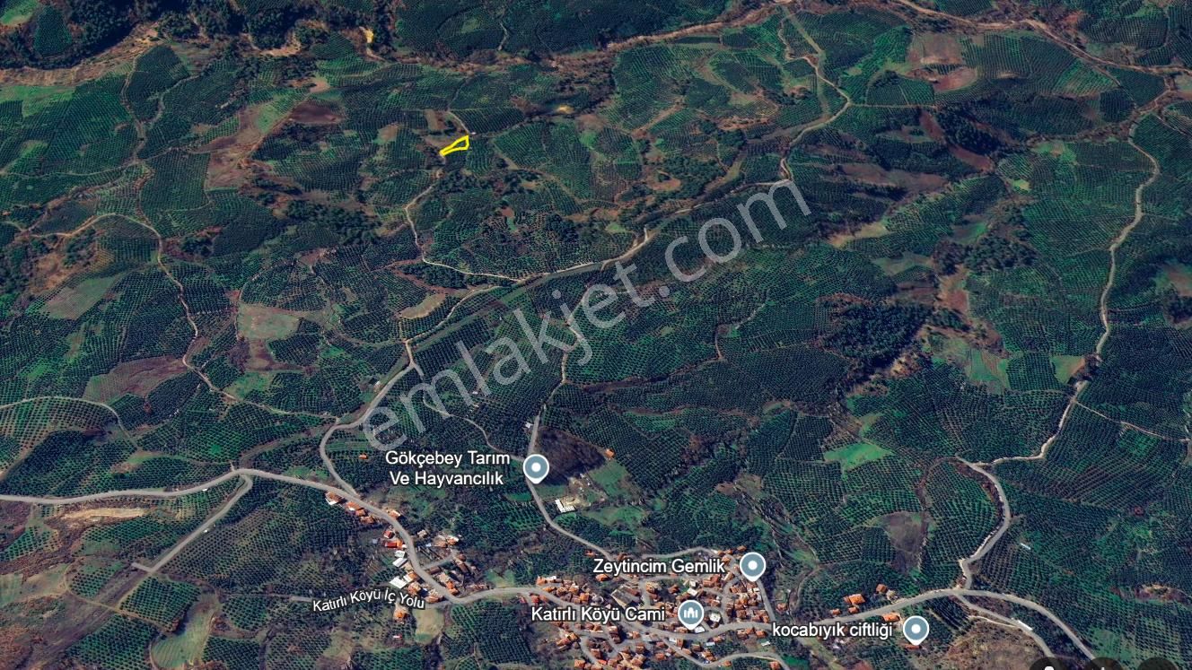 C21 Cius; Katırlı 1270 M² Yola 90m Cephe Satılık Zeytinlik - Görsel 27