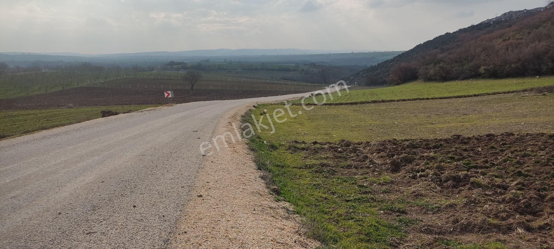 Bursa/yenişehir Karaamca &yarhisar/yazılı Asfalt,na Cepheli - Görsel 6