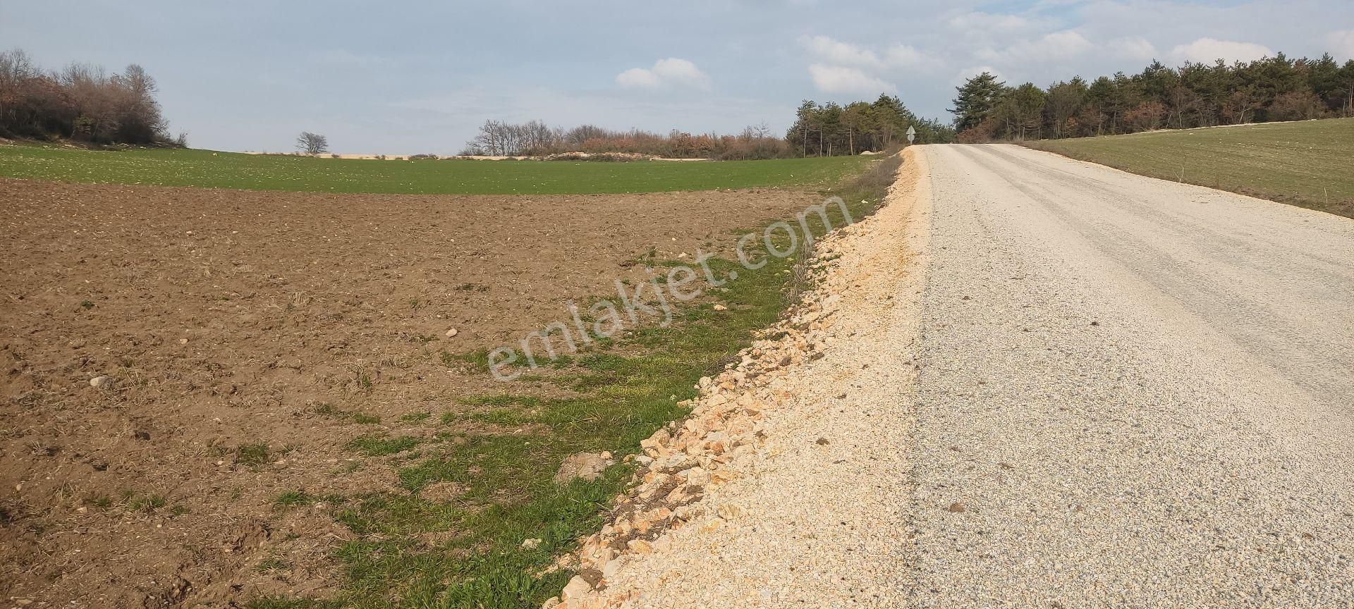 Bursa/yenişehir Karaamca &yarhisar/yazılı Asfalt,na Cepheli - Görsel 16