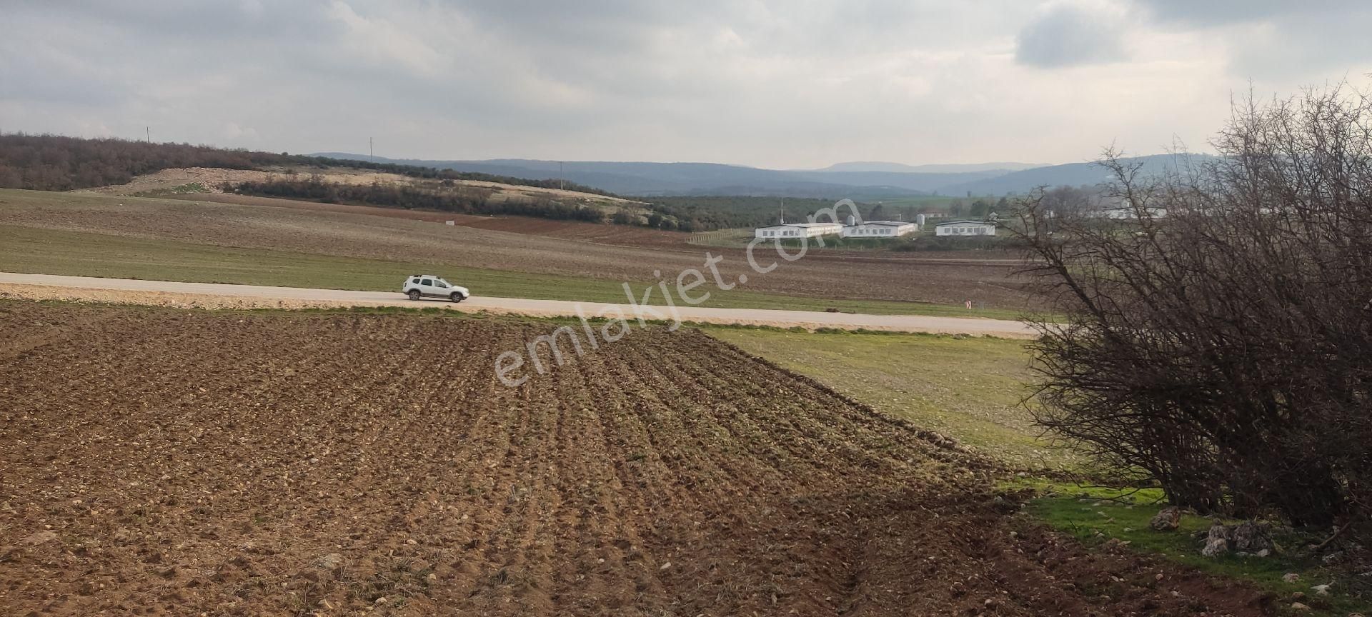Bursa/yenişehir Karaamca &yarhisar/yazılı Asfalt,na Cepheli - Görsel 14
