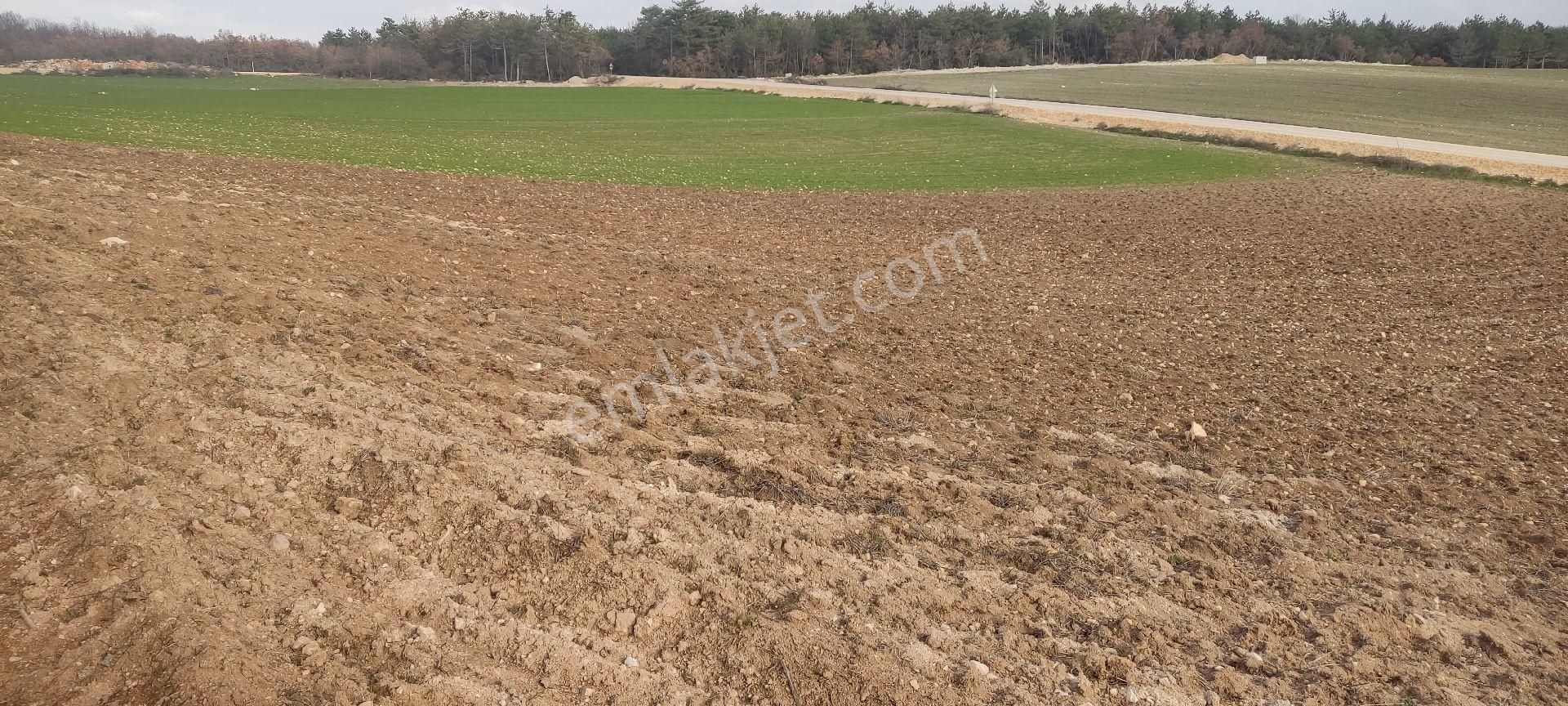 Bursa/yenişehir Karaamca &yarhisar/yazılı Asfalt,na Cepheli - Görsel 7