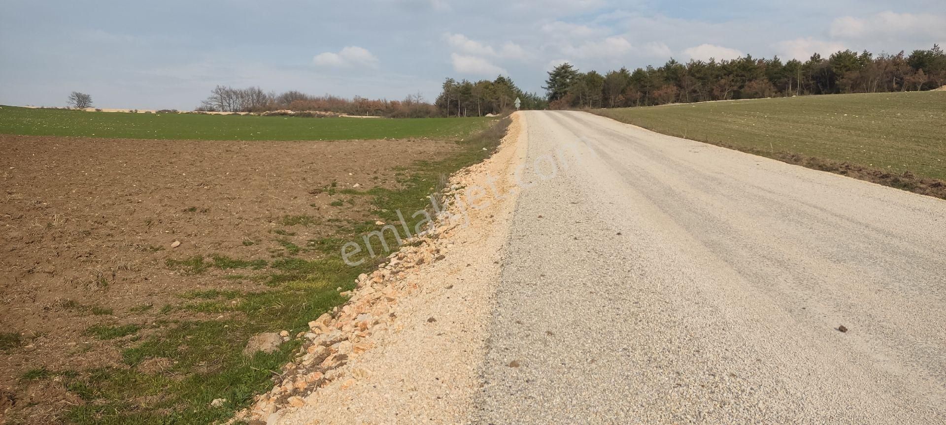 Bursa/yenişehir Karaamca &yarhisar/yazılı Asfalt,na Cepheli - Görsel 17