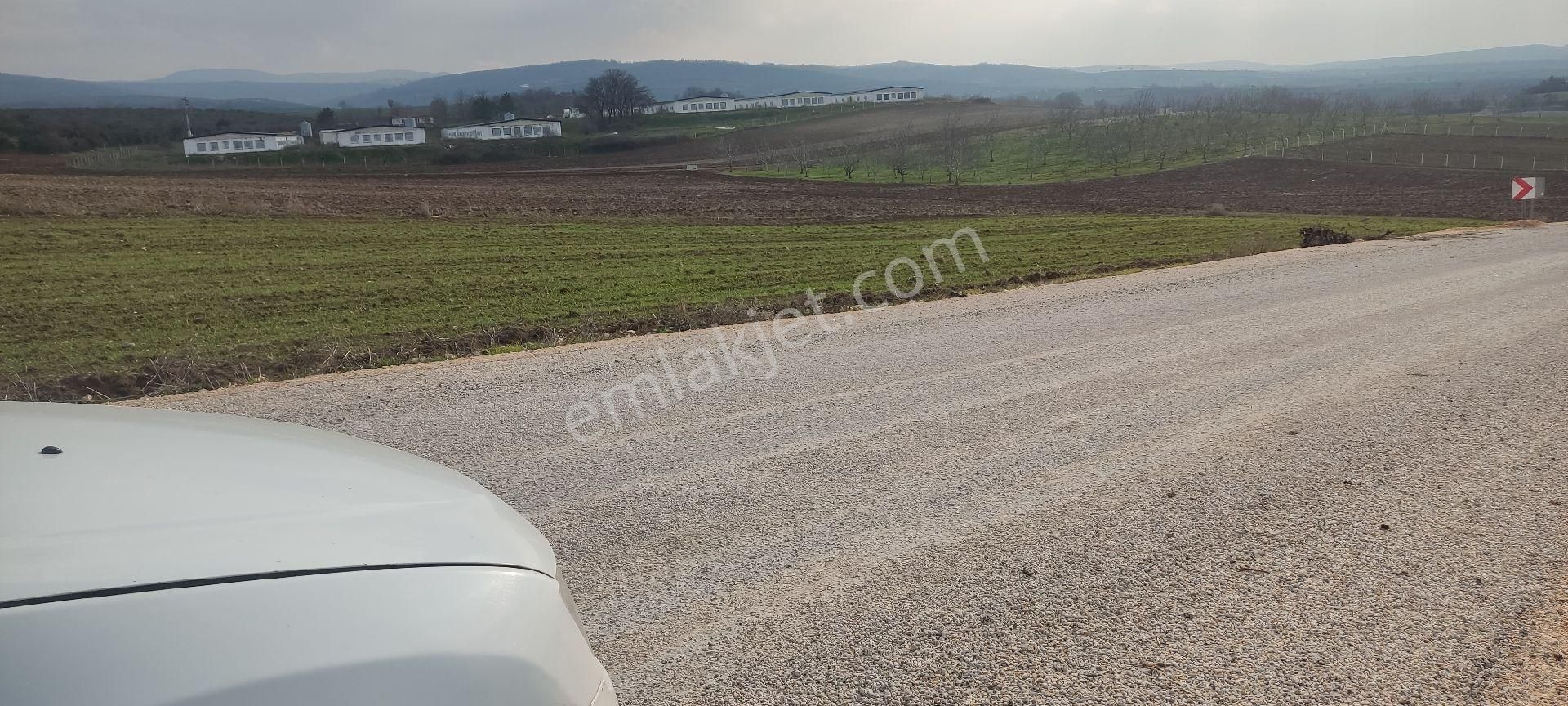 Bursa/yenişehir Karaamca &yarhisar/yazılı Asfalt,na Cepheli - Görsel 5