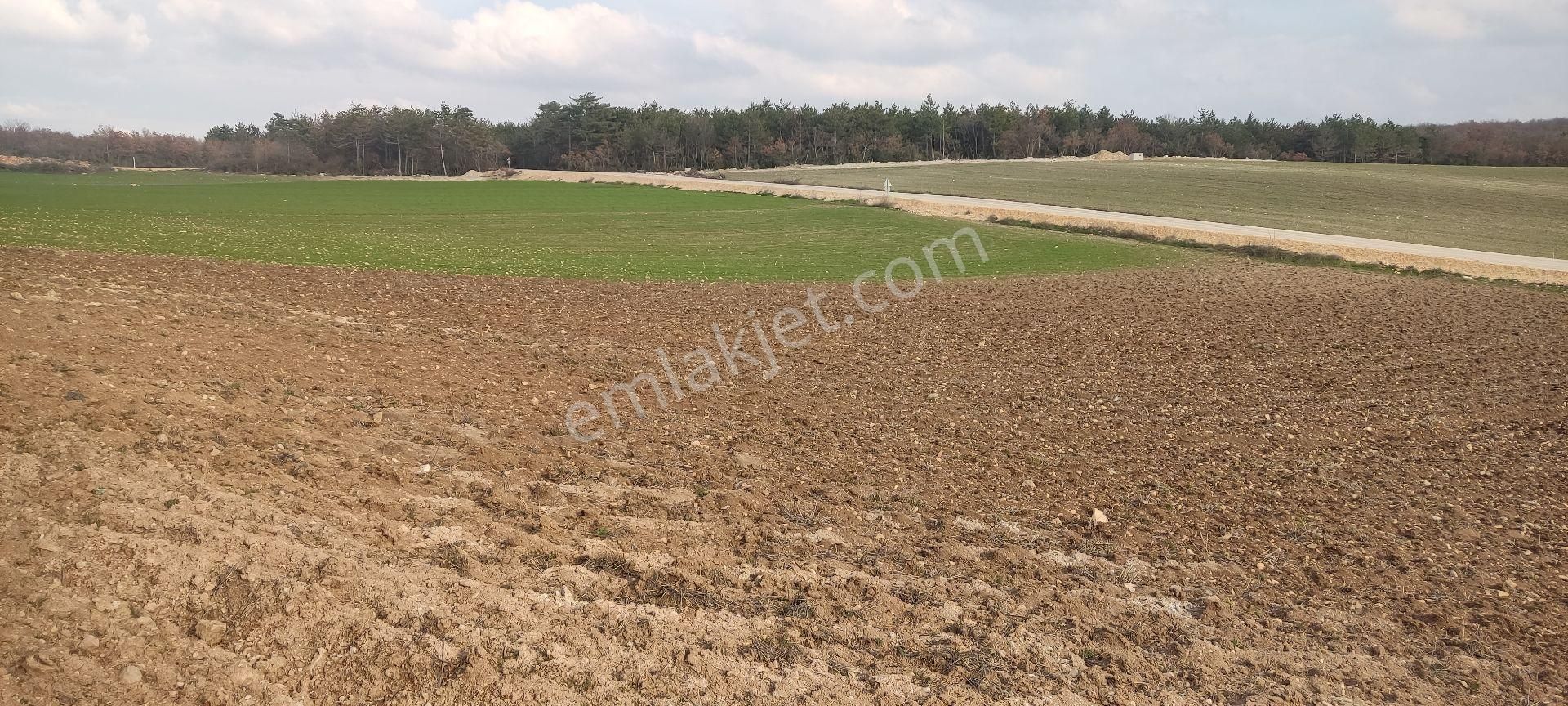 Bursa/yenişehir Karaamca &yarhisar/yazılı Asfalt,na Cepheli - Görsel 9