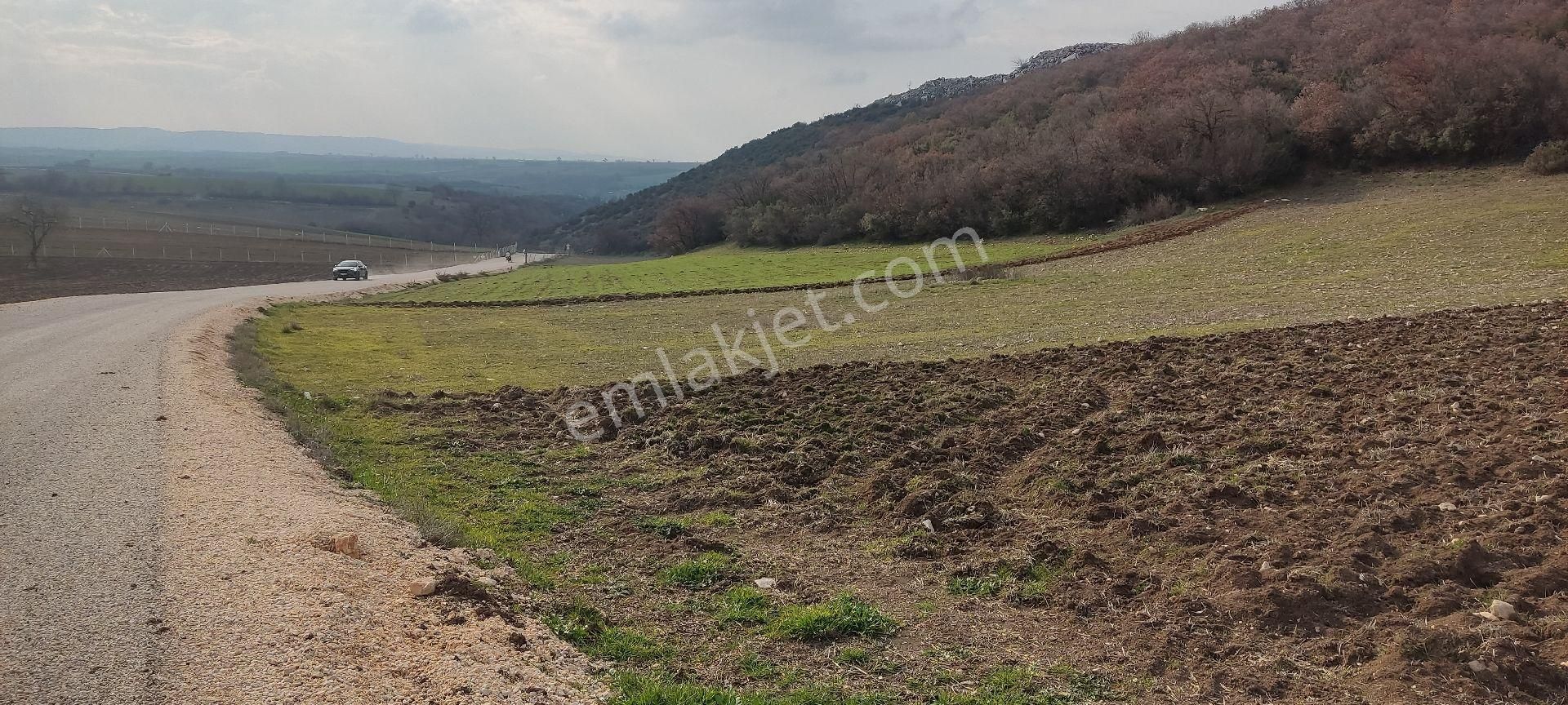 Bursa/yenişehir Karaamca &yarhisar/yazılı Asfalt,na Cepheli - Görsel 2