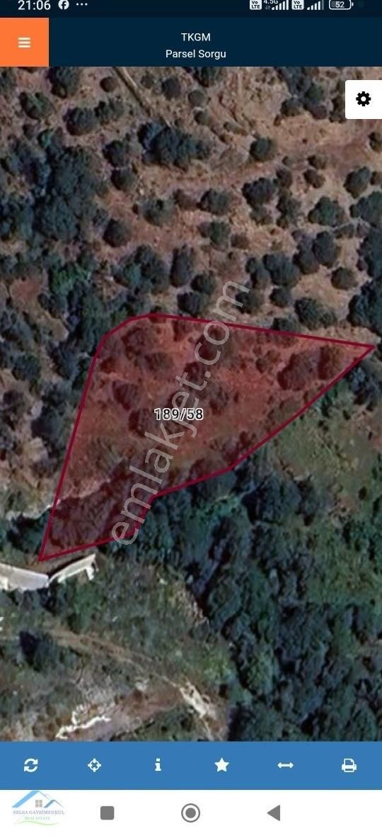 Muğla Bodrum Geriş Mah.dalanlık Mevkii Satılık 2417 M2 Tarla
