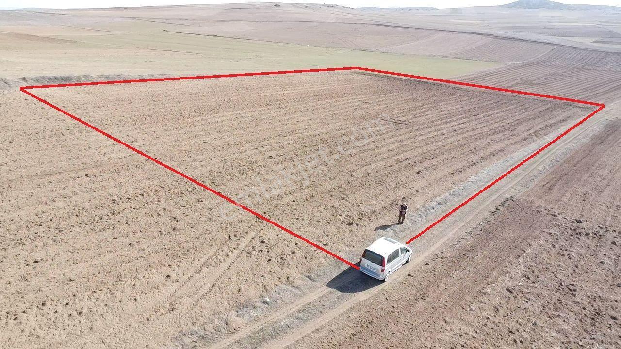 Kütahya Altıntaş Üçhüyük' De 4744 M2 Satılık Tarla - Görsel 16