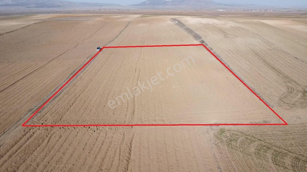 Kütahya Altıntaş Üçhüyük' De 4744 M2 Satılık Tarla - Görsel 12