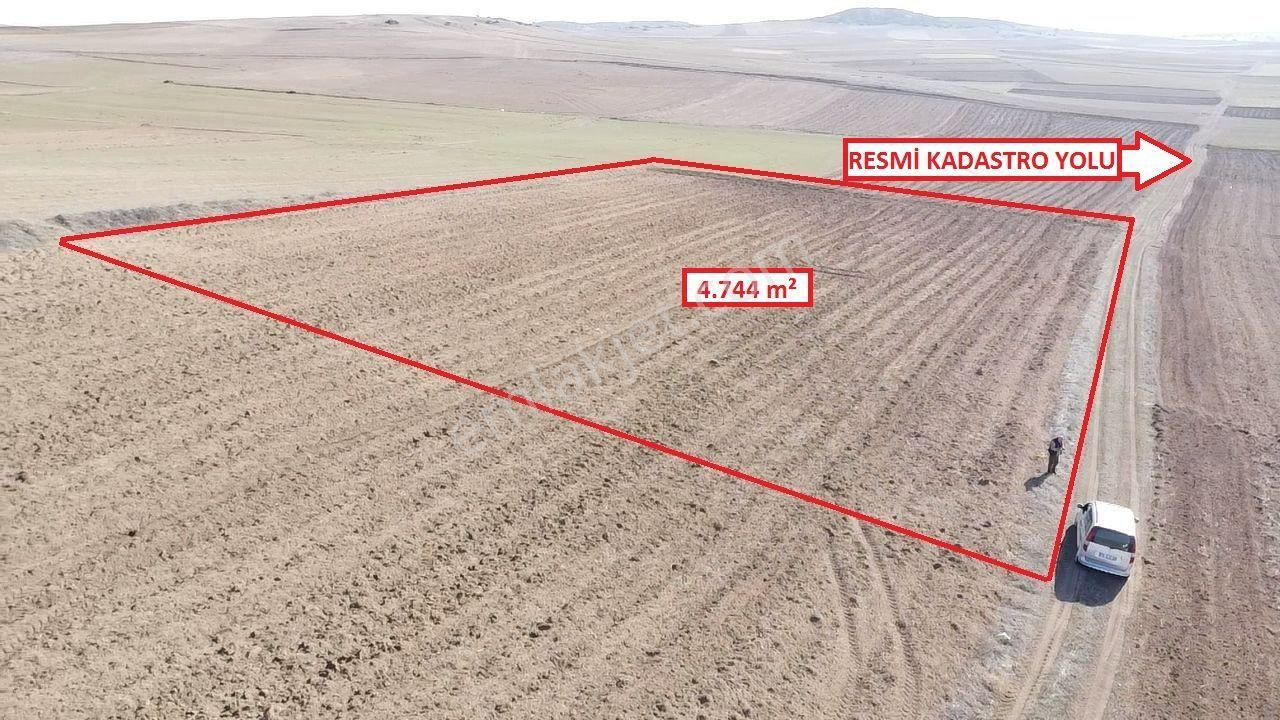 Kütahya Altıntaş Üçhüyük' De 4744 M2 Satılık Tarla - Görsel 13