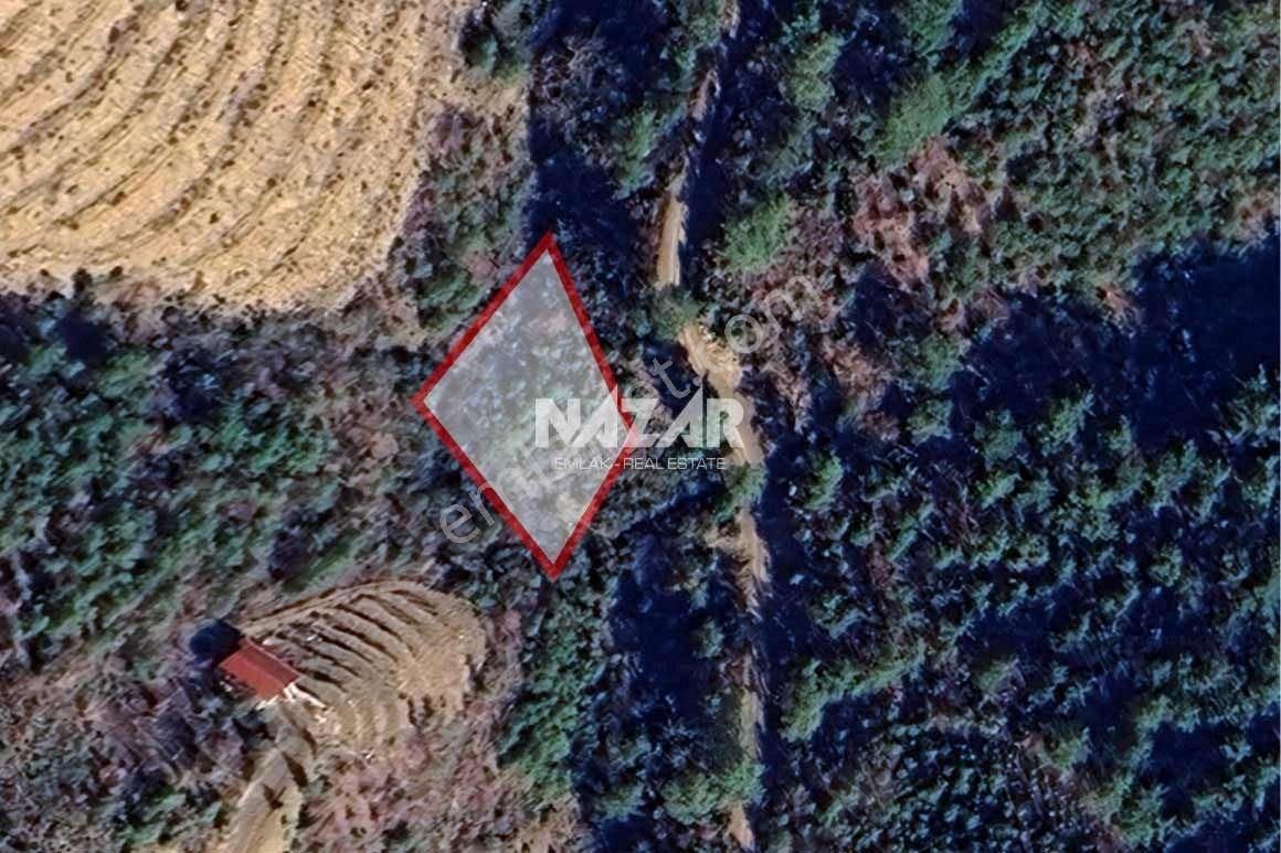 Alanya Çamlıca'da Satılık 291 M² Tarla