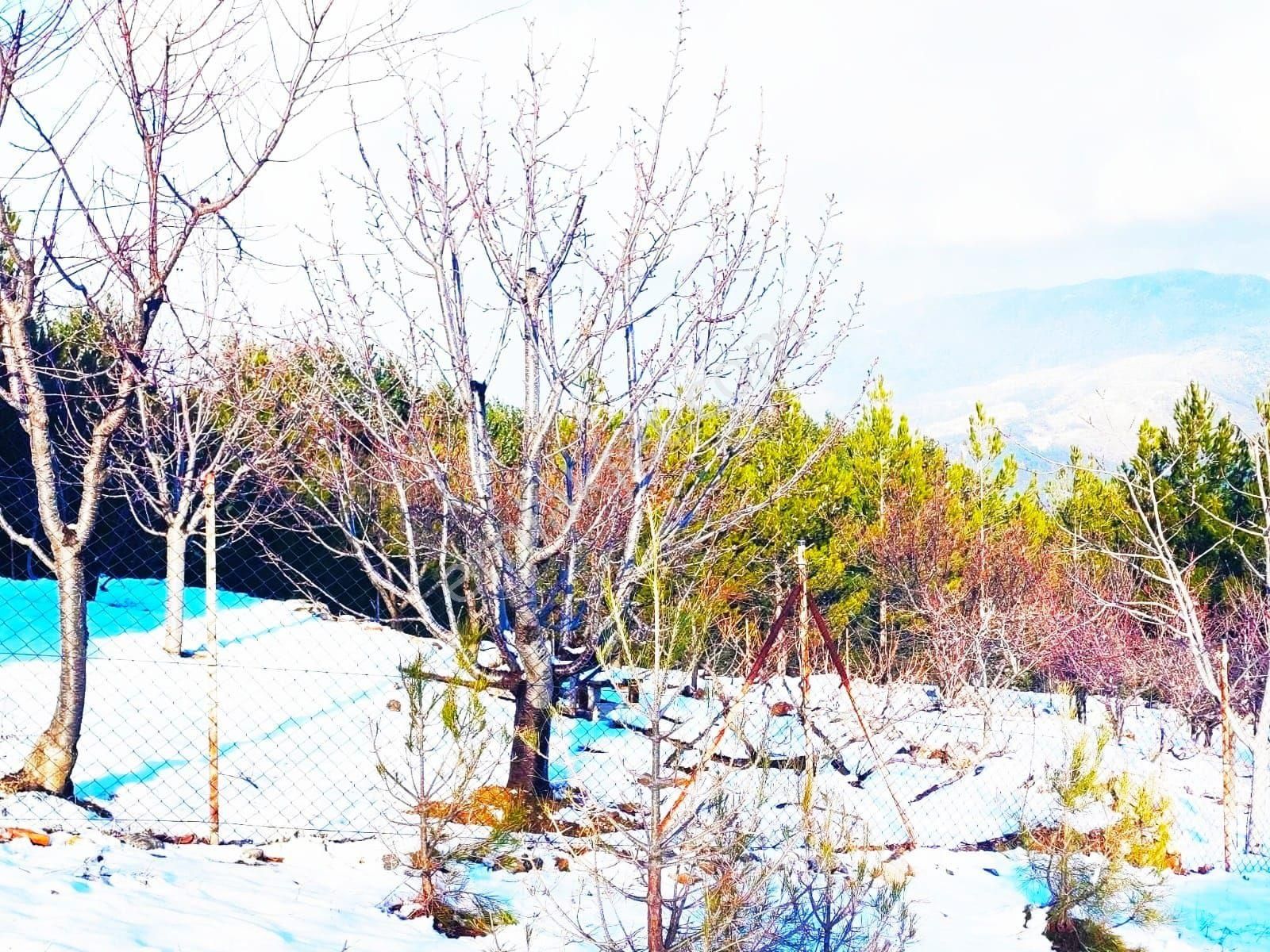 Pozantı Yeni Konacık Körimenlik Mevkiinde Satılık Arsa - Görsel 10