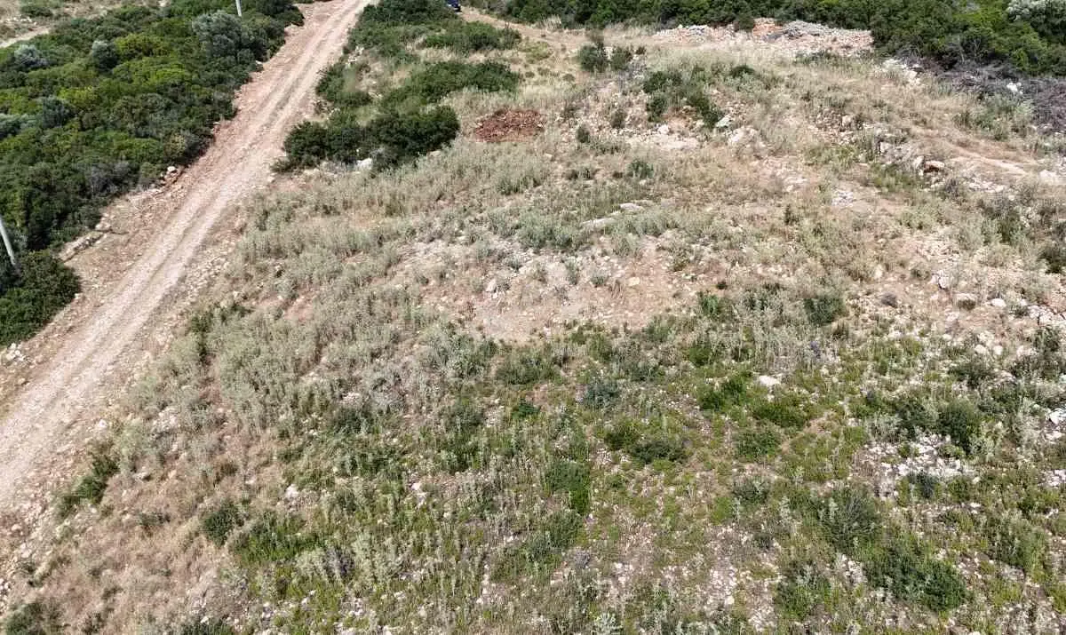 Didim Akyeniköy Mahallesi Bozseki Mevkii'nde Satılık Konut İmarlı Arsa - Görsel 2