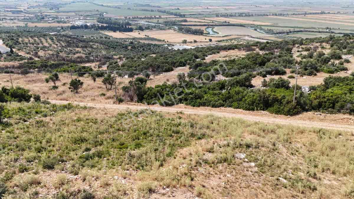 Didim Akyeniköy Mahallesi Bozseki Mevkii'nde Satılık Konut İmarlı Arsa - Görsel 8