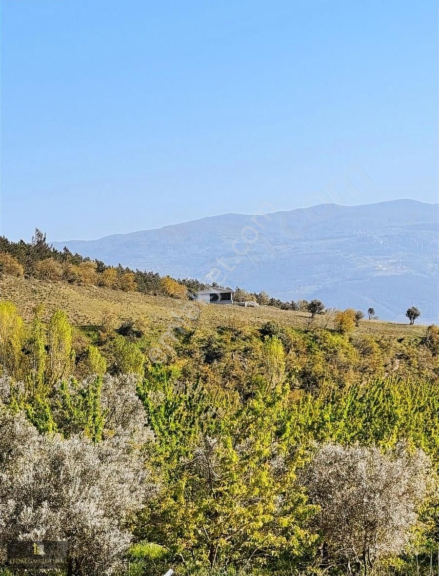 Geyve Epcelerde Yüksek Potansiyelli 7300m² Satılık Tarla Fırsatı
