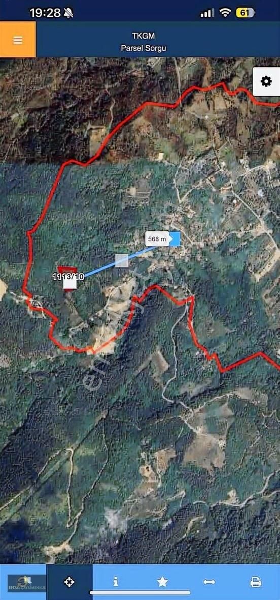 Sapanca Gölü Manzaralı Kupon Fındık Bahçesi