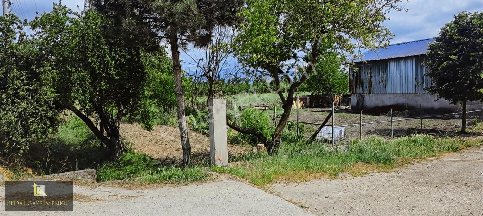 Ormanköyde Ana Yola Cepheli, Alt Yapısı Hazır, Hisseli Arsa
