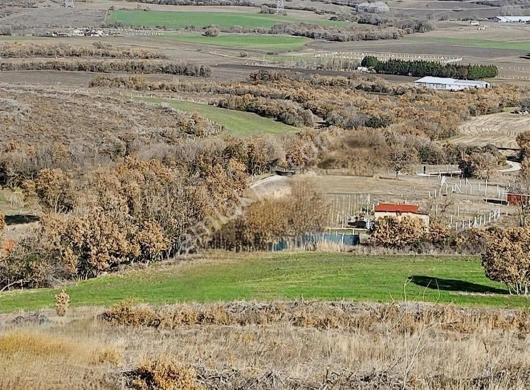 İstanbul, Silivri Çanta Balaban'da Yatırımlık Satılık Arsa