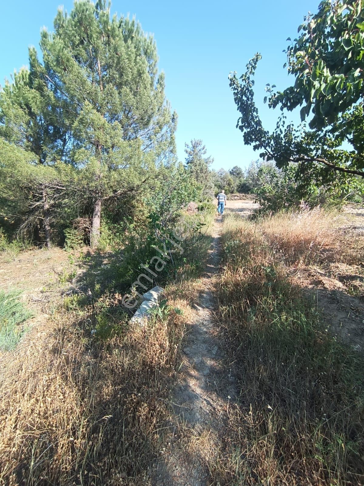 Bilecik Merkez Deresakari Köyünde Yatırımlık Tarla