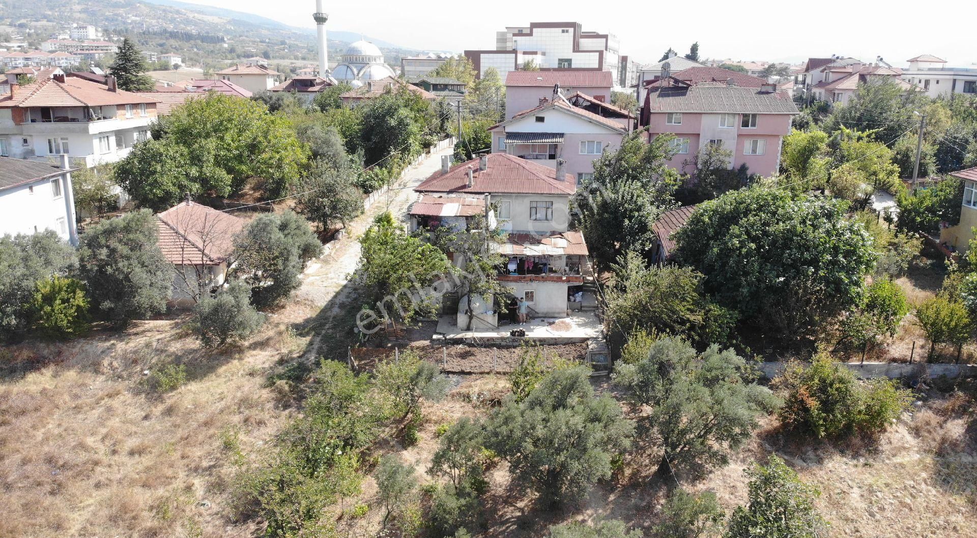 Arcturus Gayrimenkul Den Sakarya Da Yatırım Fırsatı