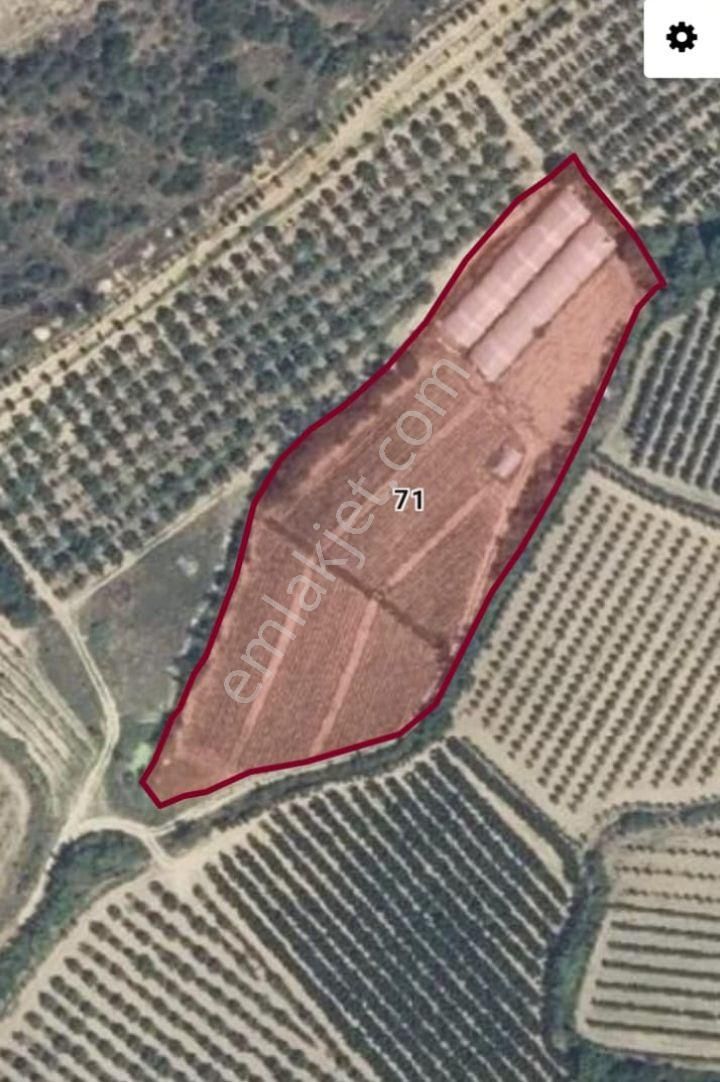 Gürsu İğdir Köyünde Satılık Uygun Fiyata 2820m² Tarla Satışa Hazır
