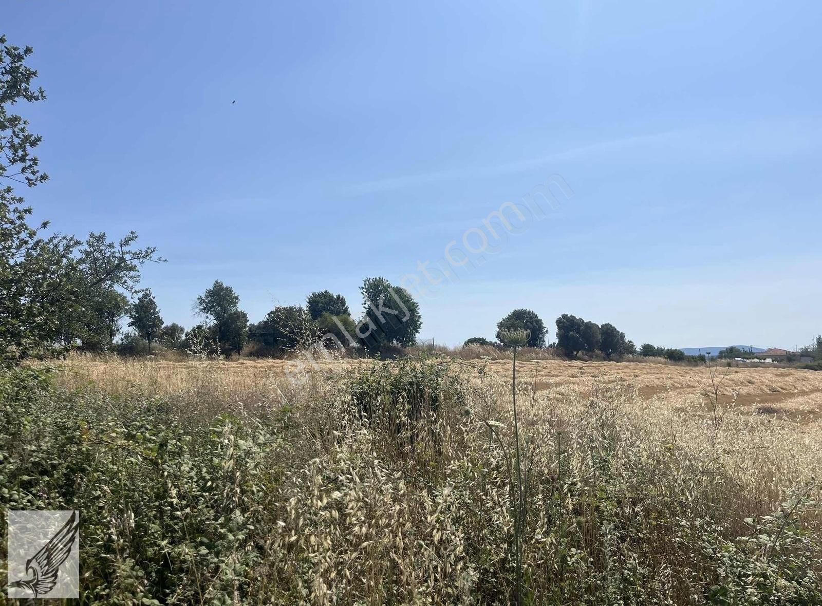 Seferihisar Ulamış'ta Ana Caddeye Yakın 18 Dönüm Kiralık Tarla - Görsel 18