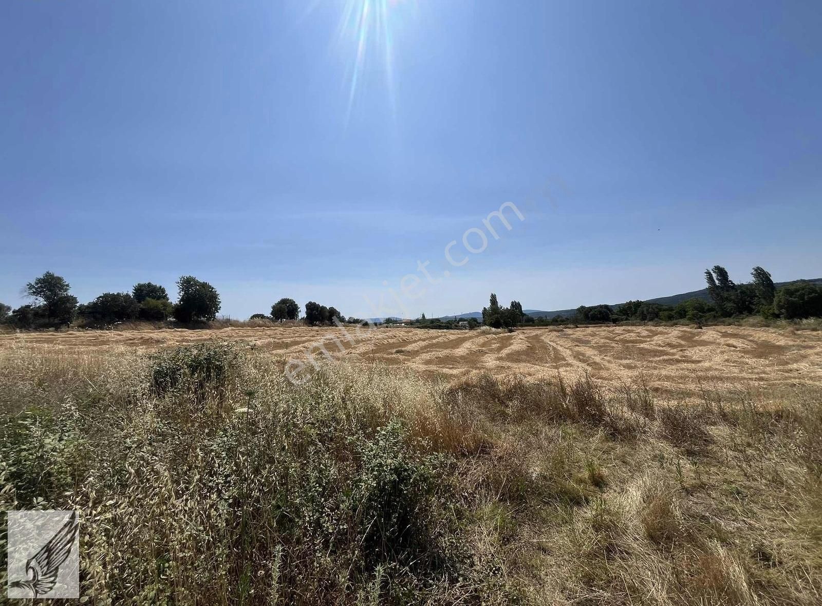 Seferihisar Ulamış'ta Ana Caddeye Yakın 18 Dönüm Kiralık Tarla - Görsel 4