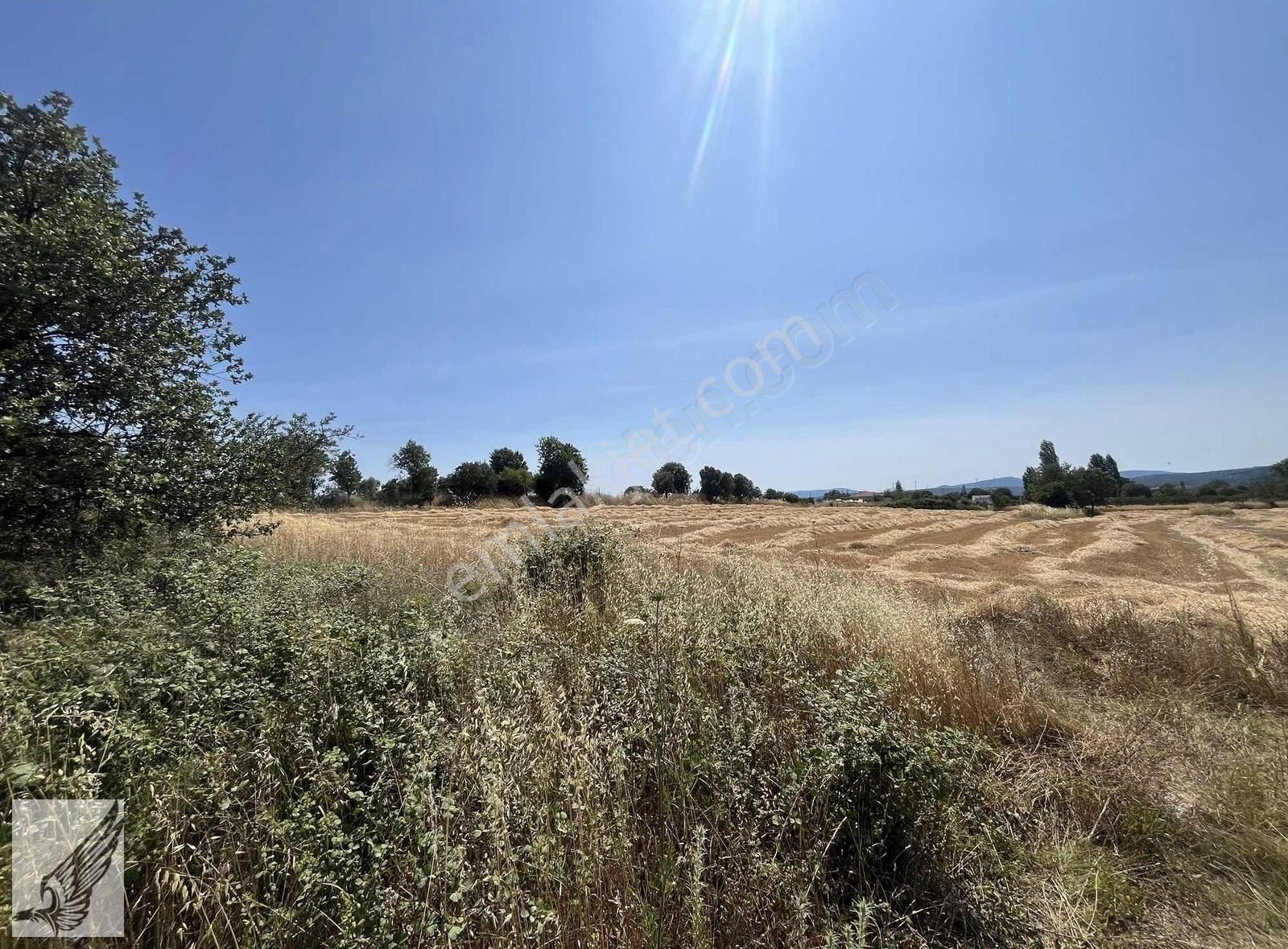 Seferihisar Ulamış'ta Ana Caddeye Yakın 18 Dönüm Kiralık Tarla - Görsel 11