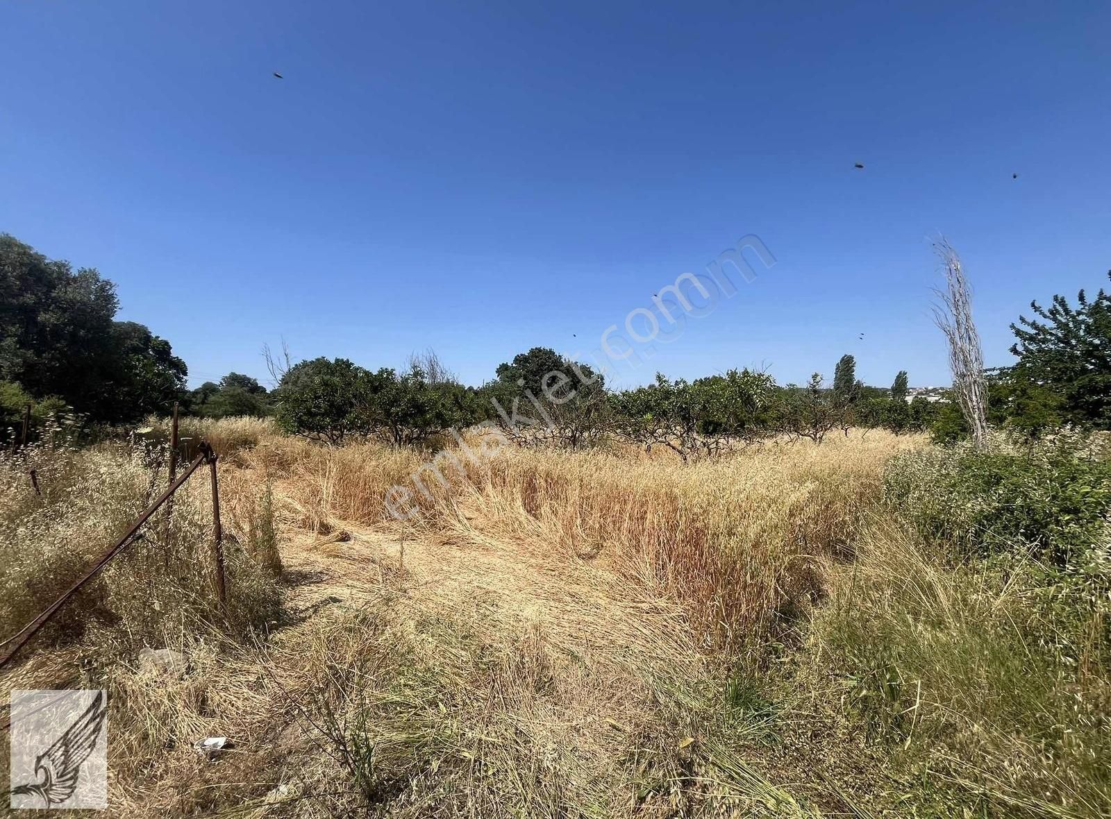 Seferihisar Ulamış'ta Ana Caddeye Yakın 18 Dönüm Kiralık Tarla - Görsel 5