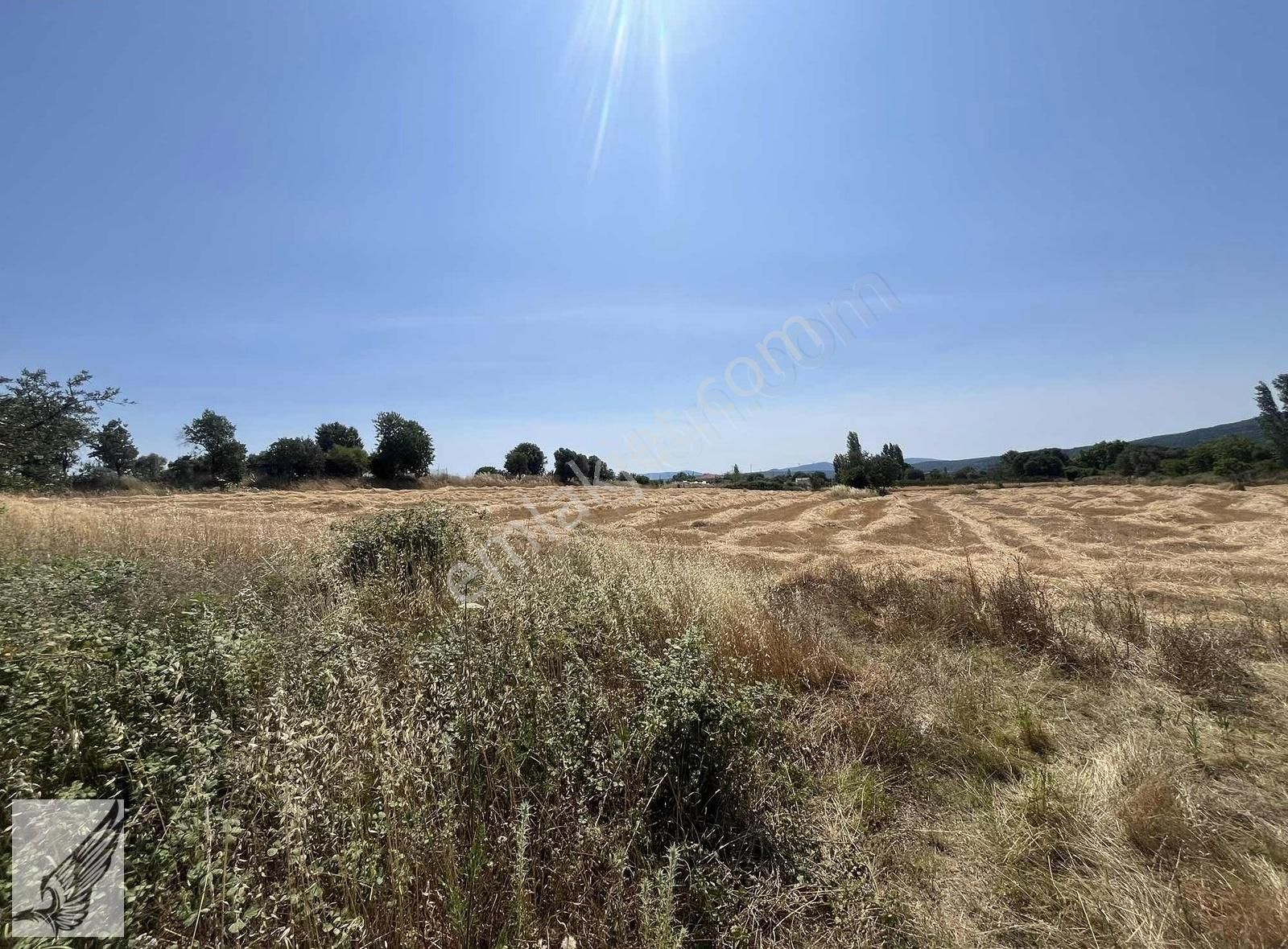 Seferihisar Ulamış'ta Ana Caddeye Yakın 18 Dönüm Kiralık Tarla - Görsel 17