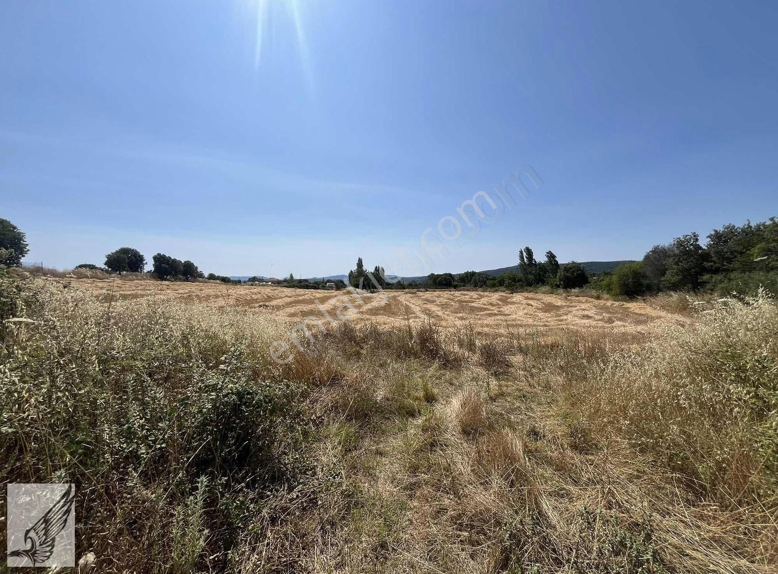 Seferihisar Ulamış'ta Ana Caddeye Yakın 18 Dönüm Kiralık Tarla - Görsel 21