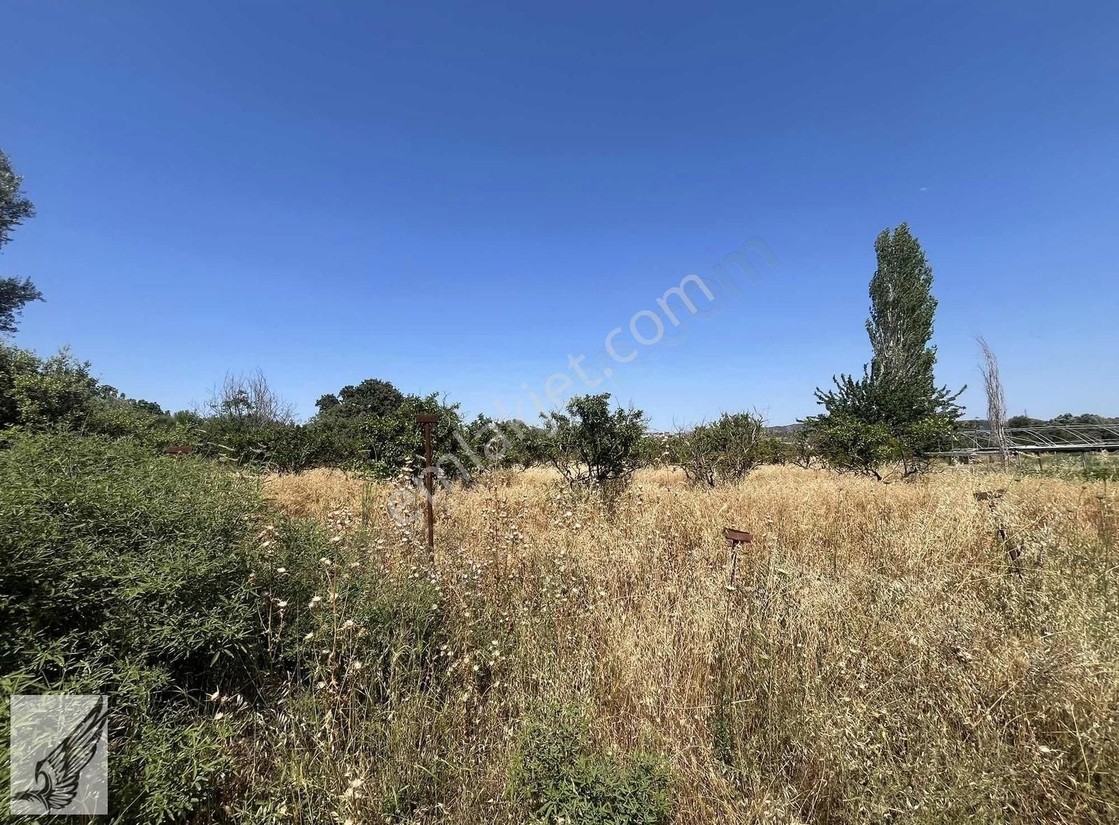 Seferihisar Ulamış'ta Ana Caddeye Yakın 18 Dönüm Kiralık Tarla - Görsel 12