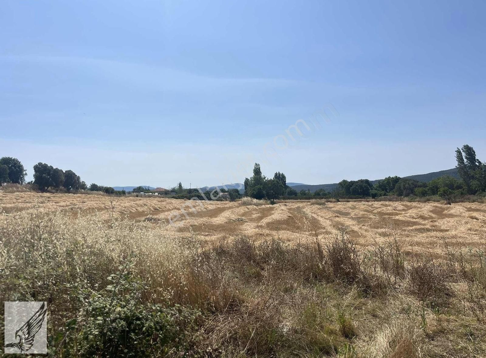 Seferihisar Ulamış'ta Ana Caddeye Yakın 18 Dönüm Kiralık Tarla - Görsel 15