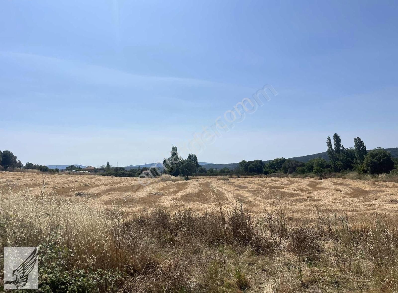 Seferihisar Ulamış'ta Ana Caddeye Yakın 18 Dönüm Kiralık Tarla - Görsel 2