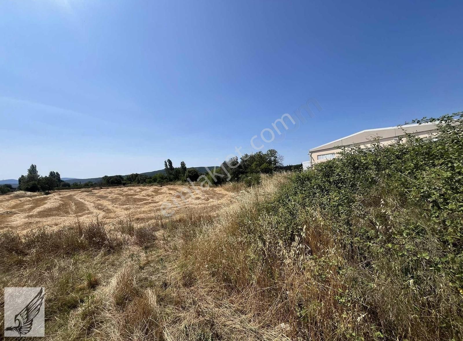 Seferihisar Ulamış'ta Ana Caddeye Yakın 18 Dönüm Kiralık Tarla - Görsel 3