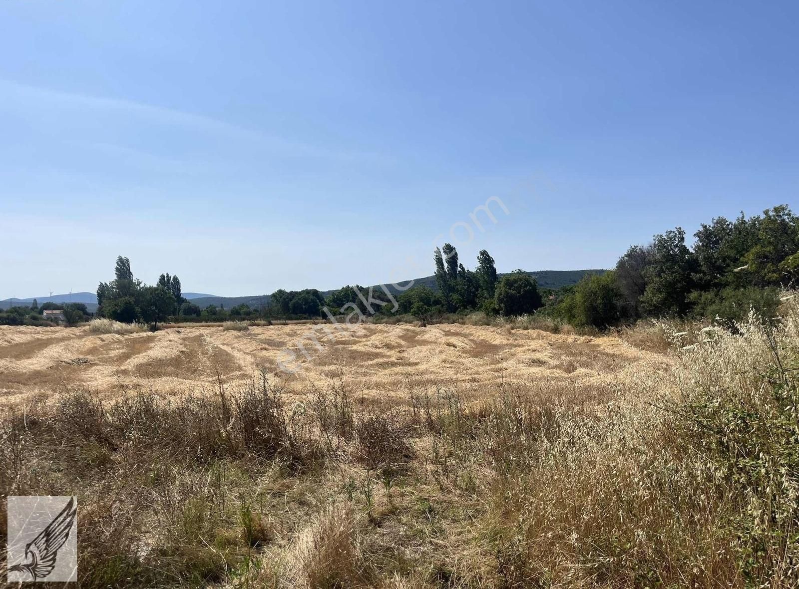 Seferihisar Ulamış'ta Ana Caddeye Yakın 18 Dönüm Kiralık Tarla - Görsel 9