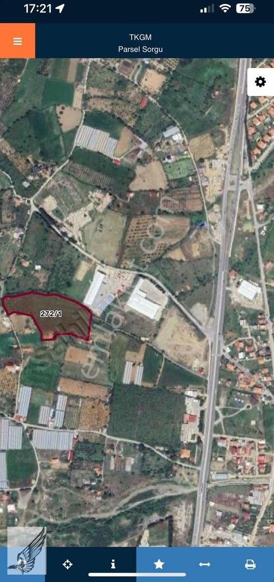 Seferihisar Ulamış'ta Ana Caddeye Yakın 18 Dönüm Kiralık Tarla
