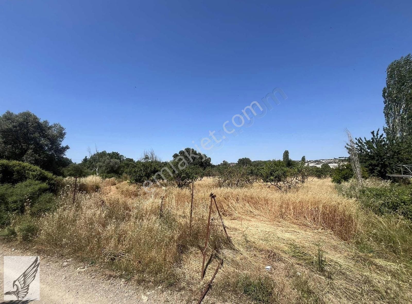 Seferihisar Ulamış'ta Ana Caddeye Yakın 18 Dönüm Kiralık Tarla - Görsel 10