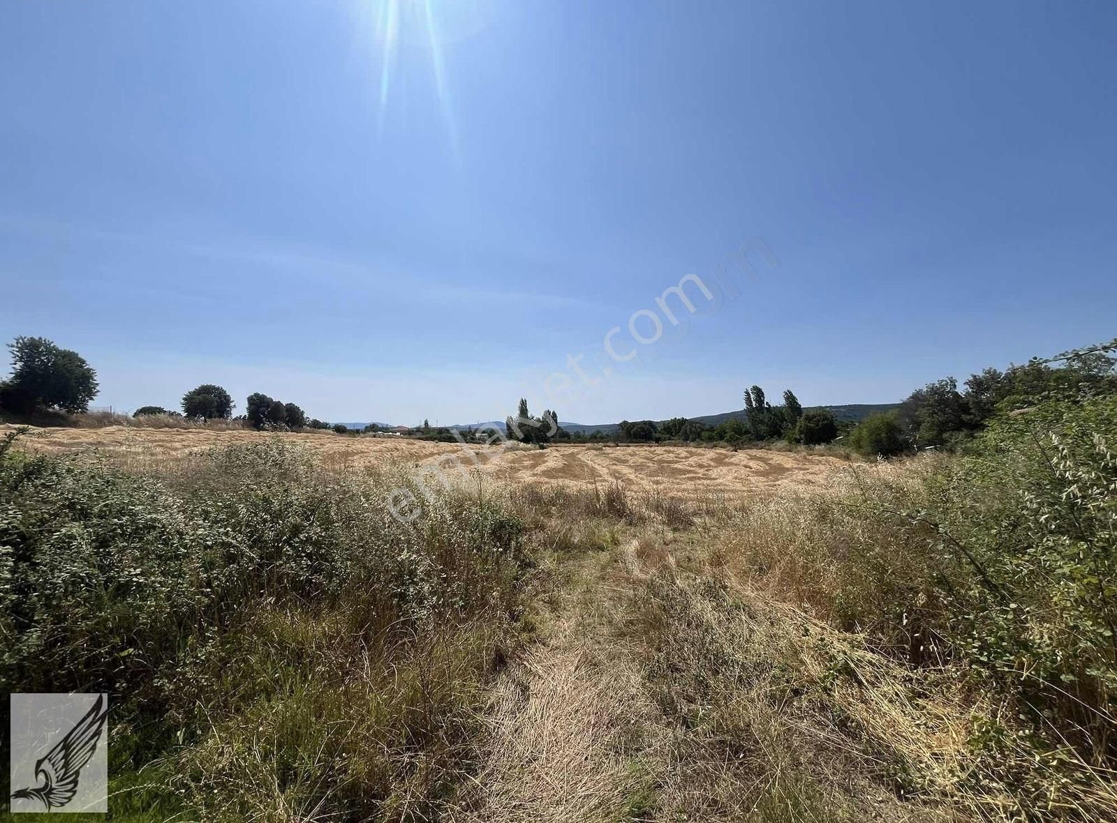 Seferihisar Ulamış'ta Ana Caddeye Yakın 18 Dönüm Kiralık Tarla - Görsel 19