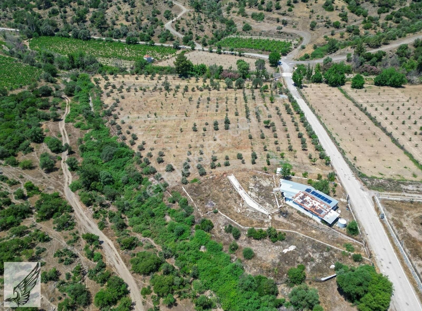 Seferihisar Orhanlı'da 150m Yol Cepheli 13 Dönüm Satılık Bağ