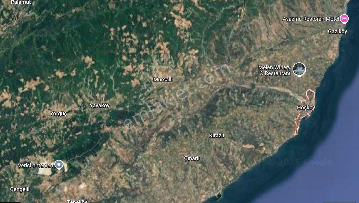 Hoşköy Şarköy’de Deniz Manzaralı Satılık Zeytinlik – Ayça Emlak’tan - Görsel 3