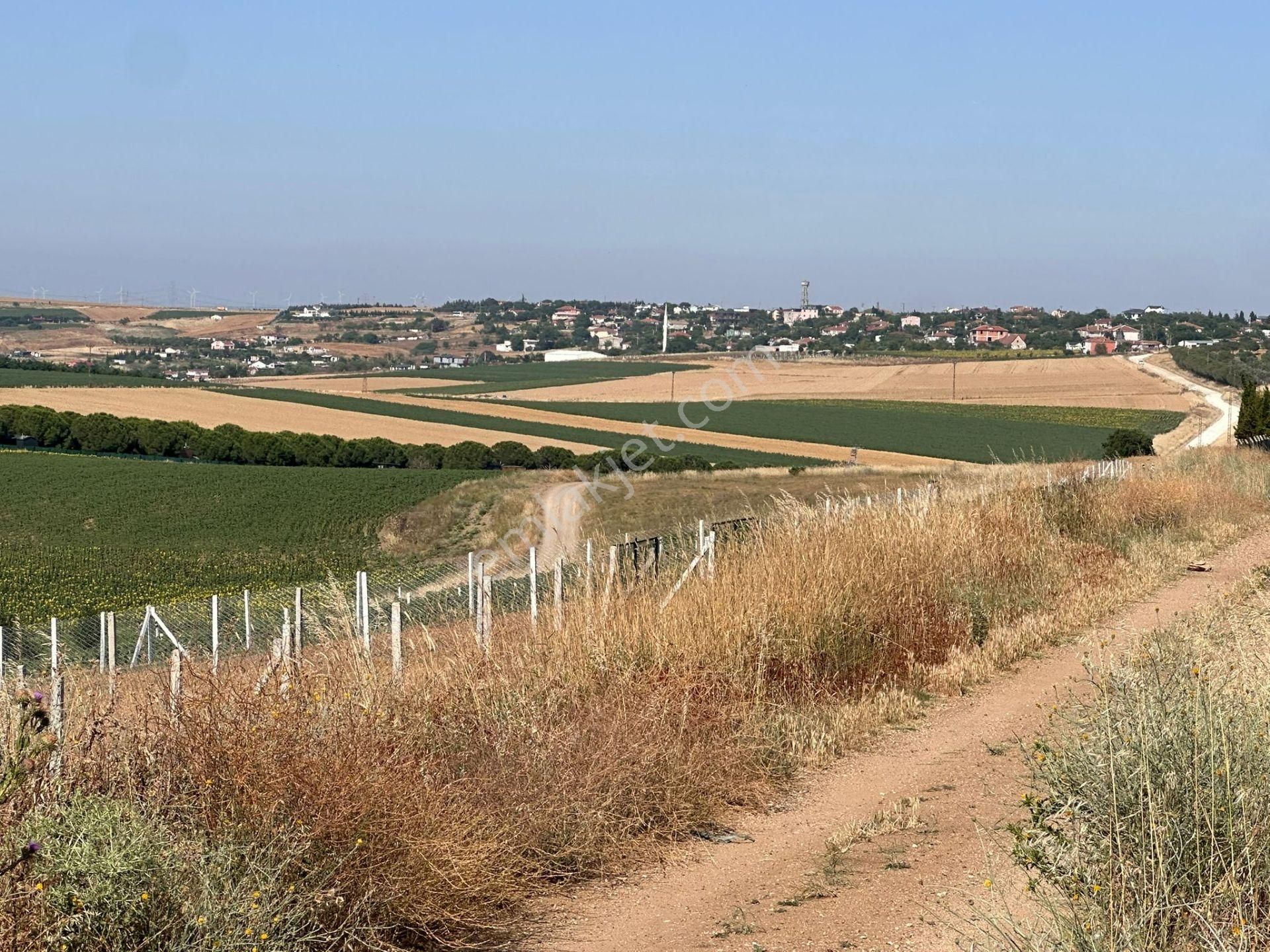 Tekirdağ Marmaraereglisi Çeşmeli Mahallesi 300m2 Kelepir Acil Satılık Arsa