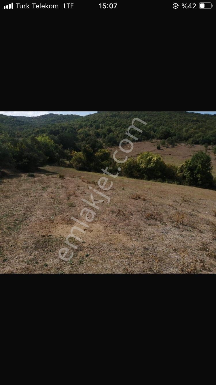 Bursa Yenişehir İstanbula Yakın Yatırımlık Tarla