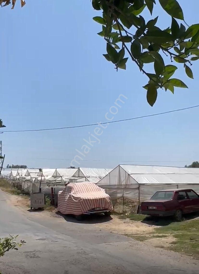 Sahibinden Yeni Payallar Devlet Hastanesi 1.5km Betonarme Ev Ve Tarla