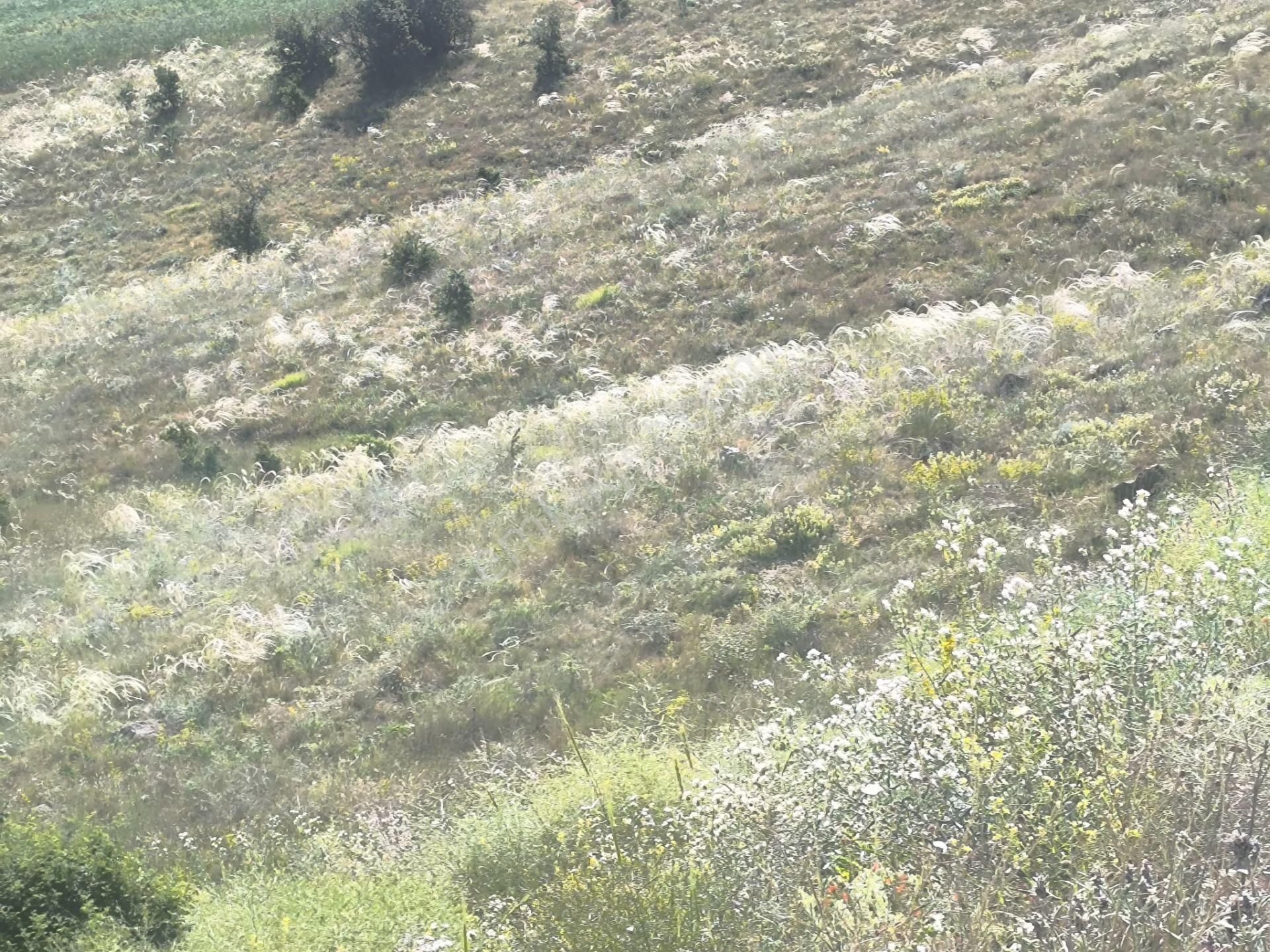 Kahramankazan Kumpınar Satılık Yatırımlık Hisse Tapulu 185 M2 Arsa - Görsel 21