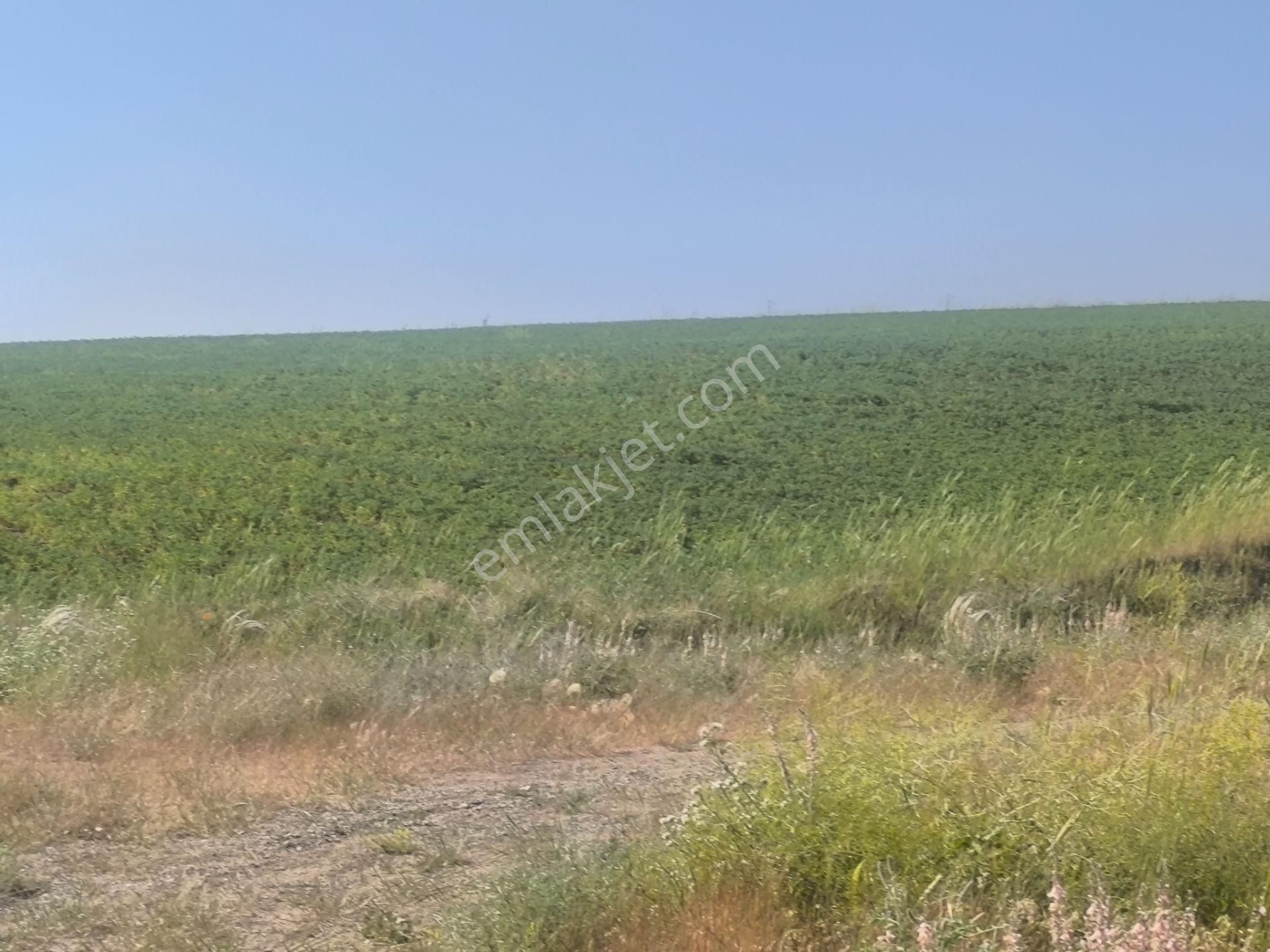 Kahramankazan Kumpınar Satılık Yatırımlık Hisse Tapulu 185 M2 Arsa - Görsel 16