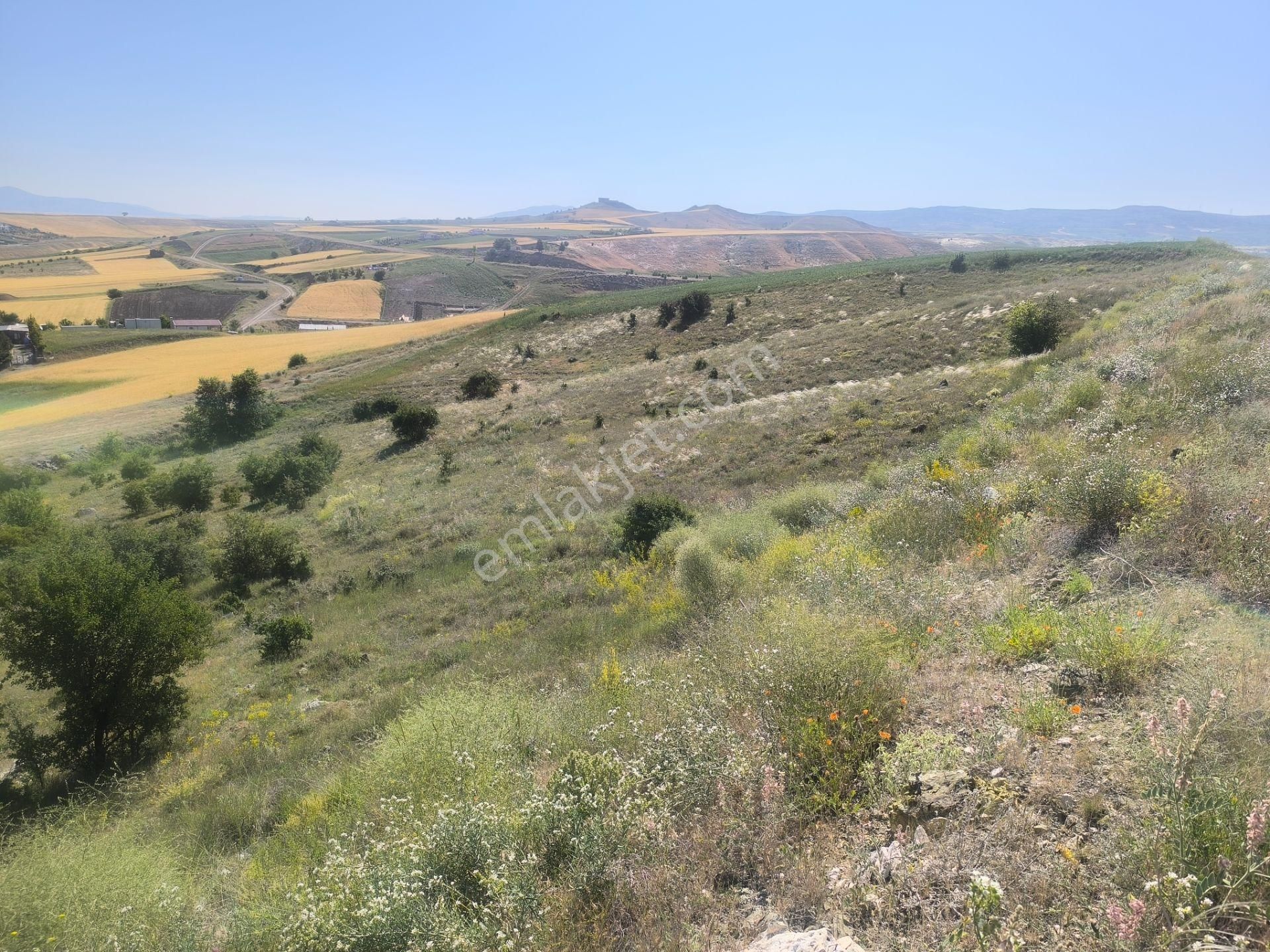 Kahramankazan Kumpınar Satılık Yatırımlık Hisse Tapulu 185 M2 Arsa - Görsel 8