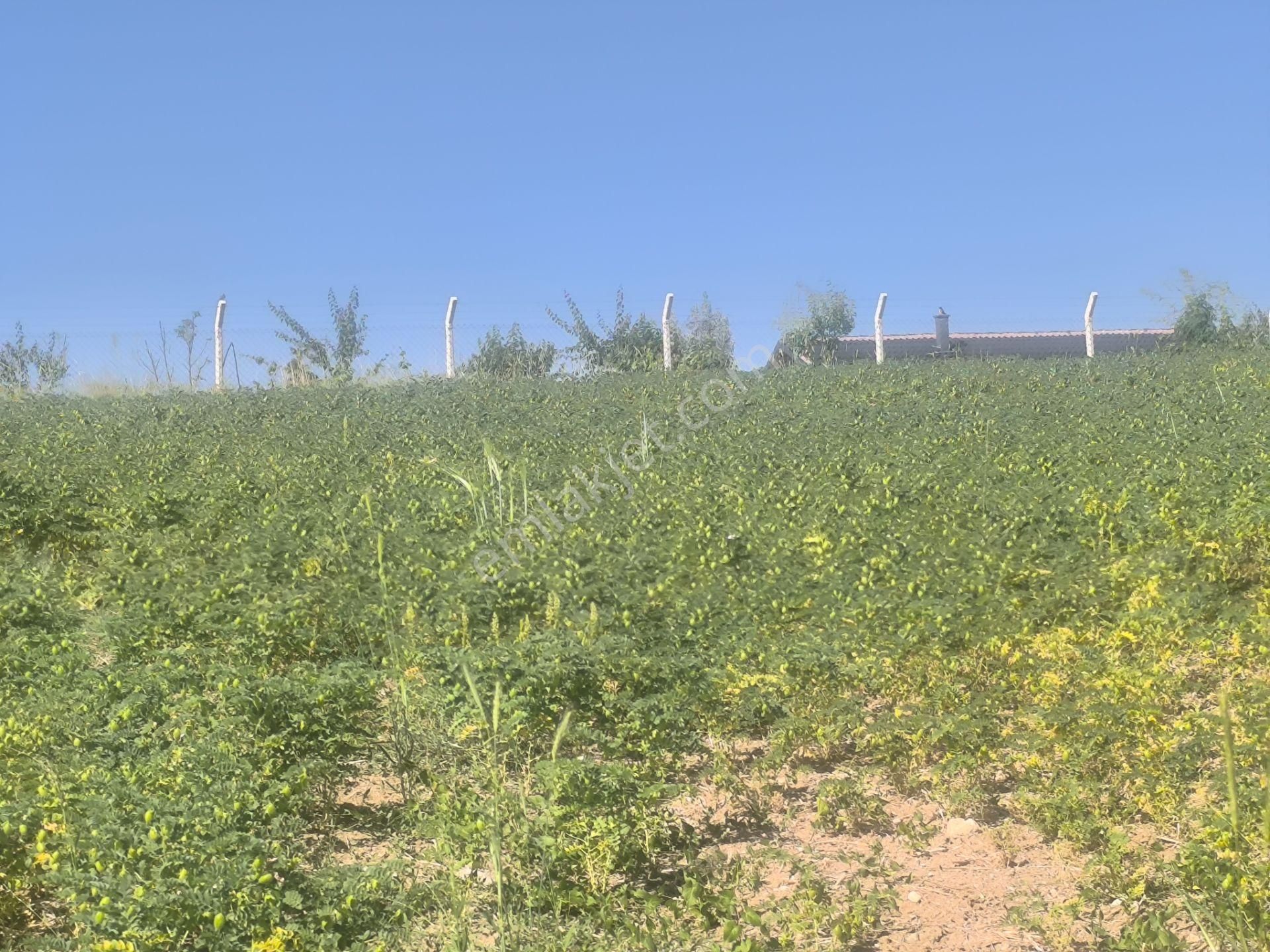 Kahramankazan Kumpınar Satılık Yatırımlık Hisse Tapulu 185 M2 Arsa - Görsel 24